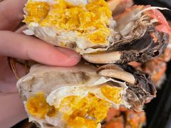 大闸蟹-黄记大闸蟹专卖店·活蟹·醉蟹