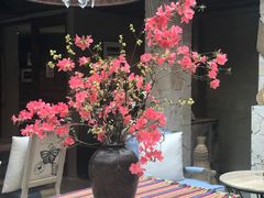 -看见远方·莫干遥远的山民宿