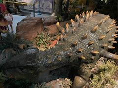 -浙江自然博物院(杭州馆)