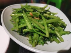 -Asianplus海蓝鸡饭