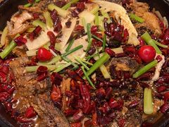 -老板恋上鱼(印象城店)