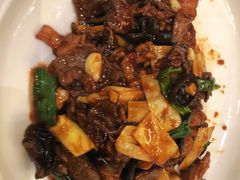 -大鸭梨烤鸭店(花园村店)