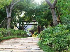 景点-茅山东方盐湖城景区