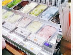 -iceason爱茜茜里·意大利健康冰淇淋(骑龙巷店)