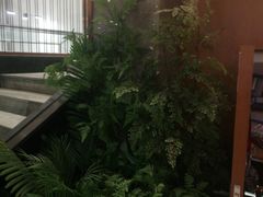 -江小渔鲜鱼火锅(西二道街店)
