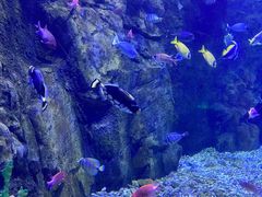 -太平洋海底世界