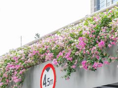 -广州市紫泥堂文化创意园景区