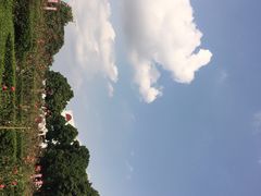 -紫马岭游泳馆