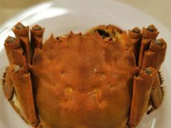清蒸大闸蟹-王宝和酒家(黄浦店)