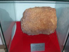 -上海昆虫博物馆