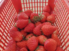 -李先生的首尔小馆(松江启源广场店)