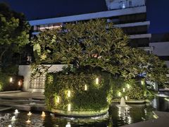 -白天鹅宾馆-健身中心