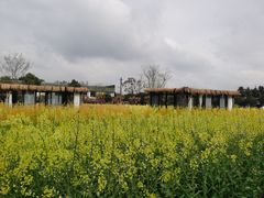 -洪湖家庭农场·团建·露营·会议