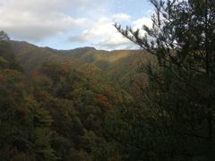 -牛背梁国家森林公园