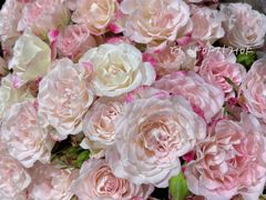 -循礼门鲜花花市(武汉循礼门店)