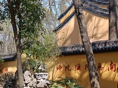 -灵谷景区
