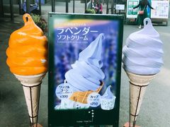 -富田农场