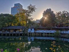 -荔湾湖公园
