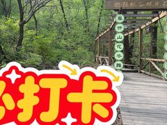 -大岭沟猕猴桃谷风景区