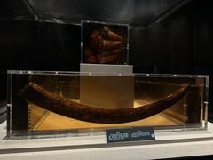 -金沙遗址博物馆