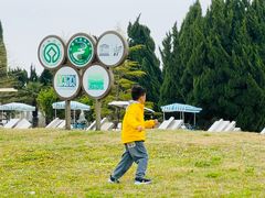 -盐城丹顶鹤湿地生态旅游区