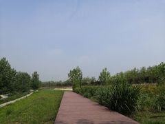 -洨河生态公园