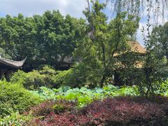 -老桂湖公园-杨升庵博物馆