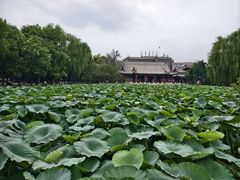 -莲池书院博物馆