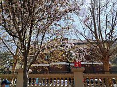 -天津五大道文化旅游区