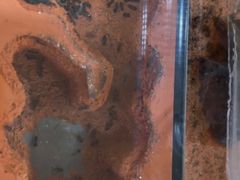 -世纪昂立幼儿园