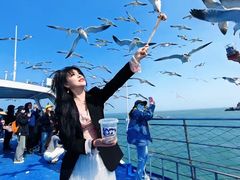 -海驴岛(荣成市)