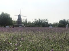 -渔岛海洋度假区