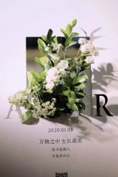 -琥珀婚礼策划AMBER WEDDING