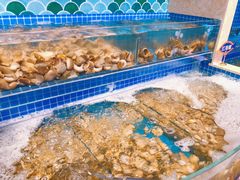 水产区-乔哥铭洋海鲜自助(皇城恒隆广场店)