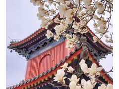-北京艺术博物馆(万寿寺)