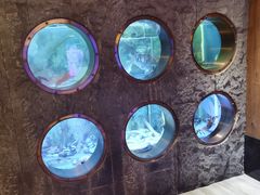 -辉哥火锅(虹桥路店)