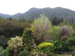 -深圳仙湖植物园