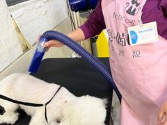 -暖阳宠物医院·犬猫康复中心·骨科