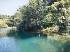 -鼎湖山风景区