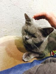 -ASG Hair Salon烫染·接发