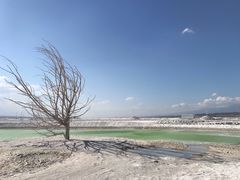 -盐湖景区