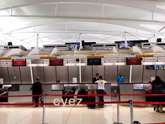 -约翰·菲茨杰拉德·肯尼迪国际机场