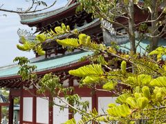-莆田南少林寺