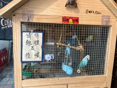 -鬼味烤翅(南锣鼓巷店)