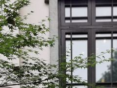 -也枫·小黄楼(南山路旗舰店)