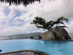 -三亚亚龙湾人间天堂鸟巢度假村