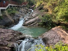 -广州白江湖森林公园