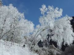 -叠溪松坪沟景区