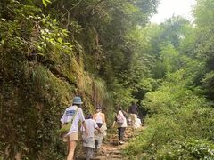 -莫干山风景区