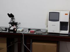 化验-中农大我爱我爱24h动物医院·中医针灸·猫专科·骨科医疗中心(双井店)